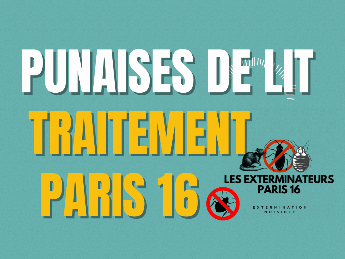 traitement punaises de lit paris 16