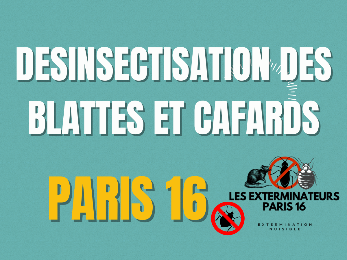 désinsectisation des blattes et cafards paris 16