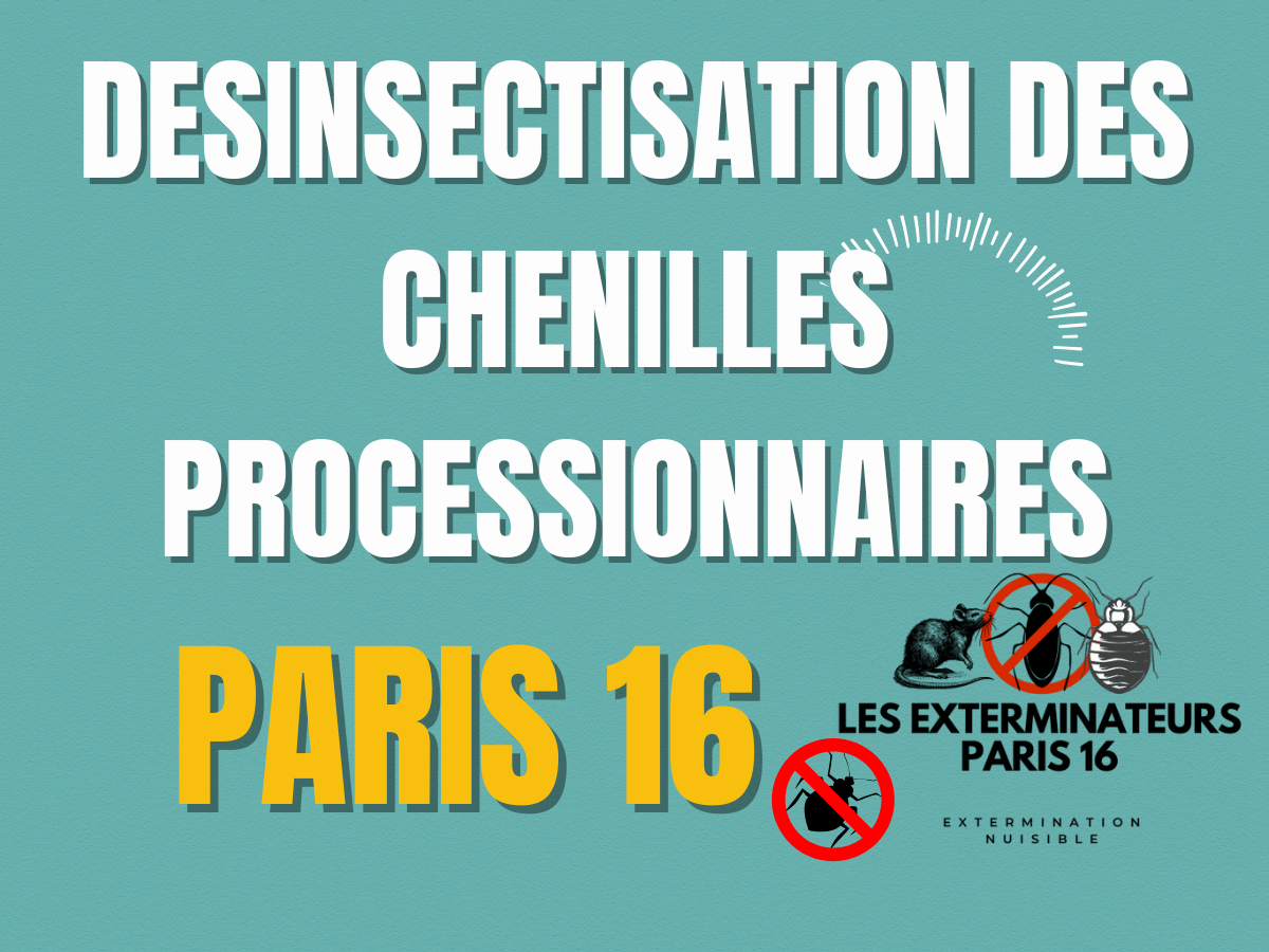 désinsectisation des chenilles processionnaires paris 16