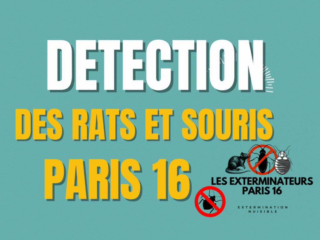 detection des rats et souris paris 16