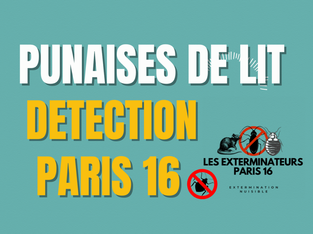 détection punaises de lit Paris 16