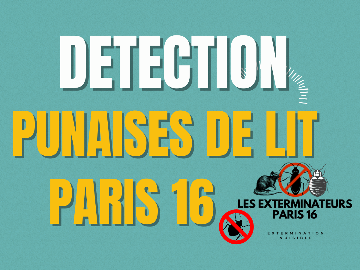 detection punaises de lit paris 16