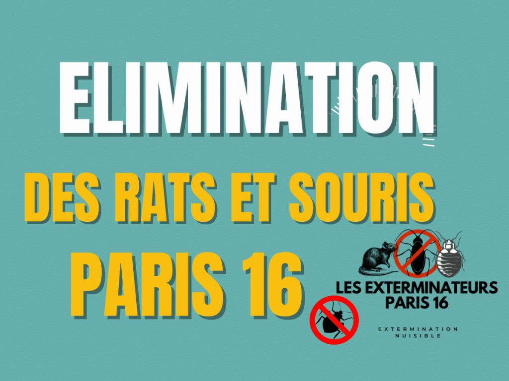 elimination des rats et souris paris 16