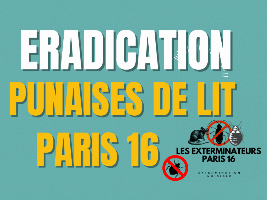 eradication punaises de lit paris 16