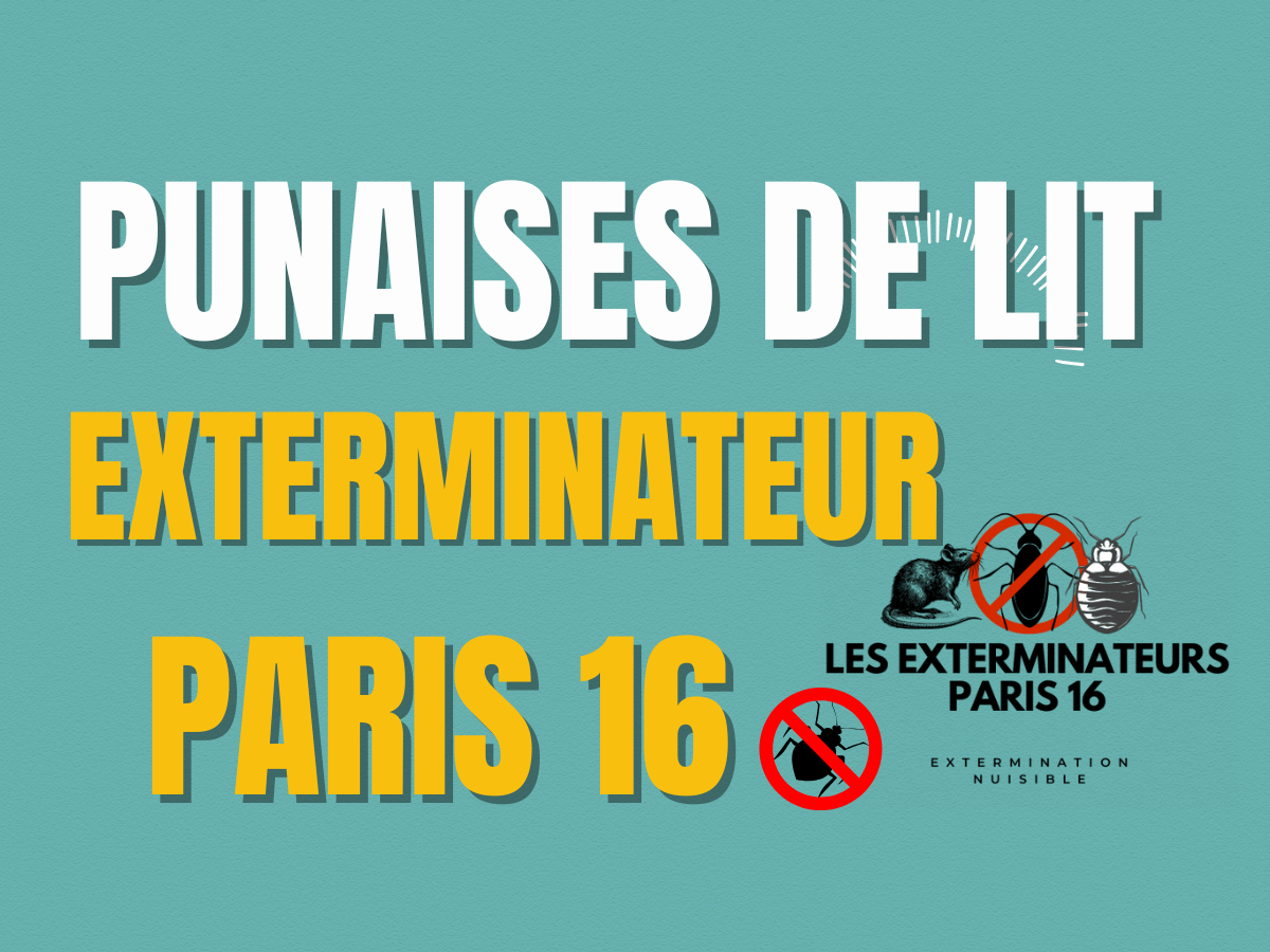exterminateur punaises de lit
