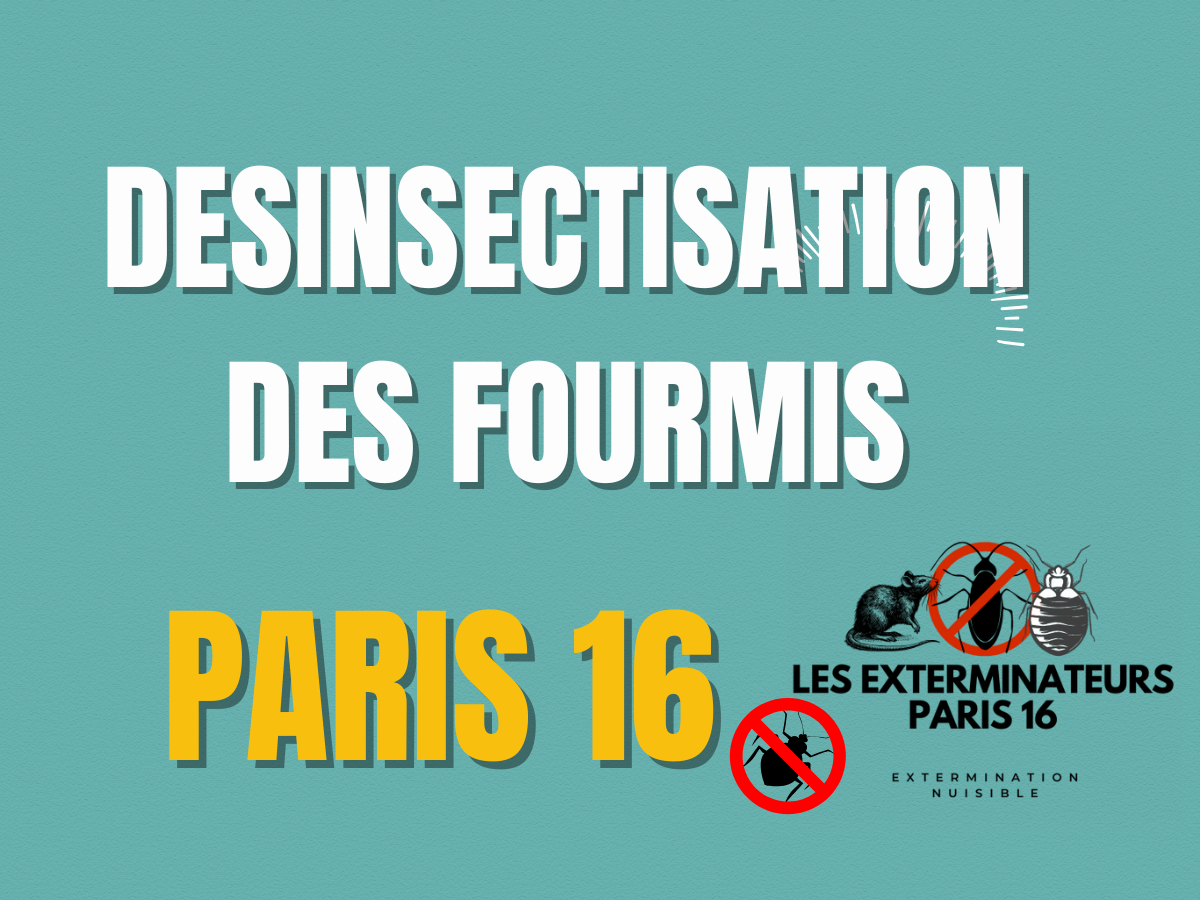 desinsectisation des fourmis paris 16