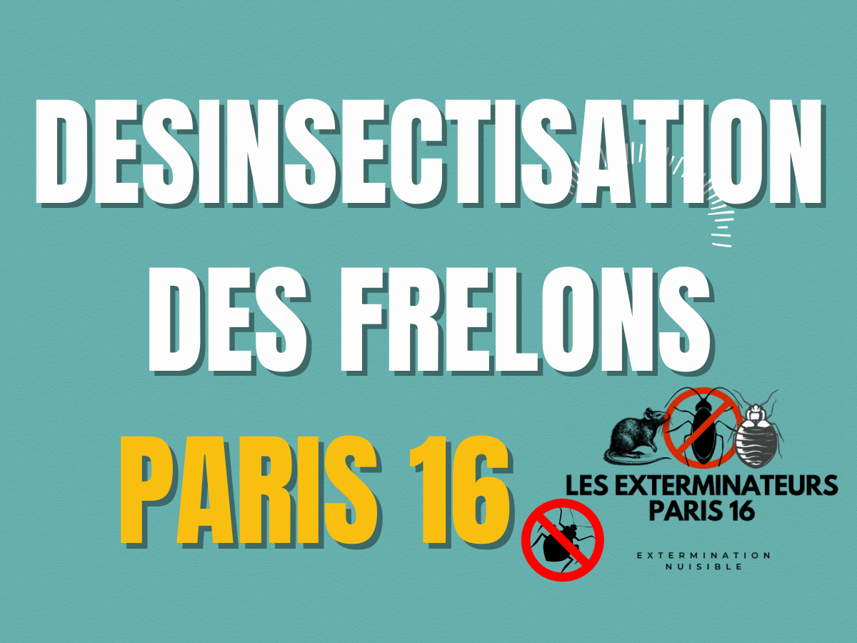 desinsectisation des frelons paris 16