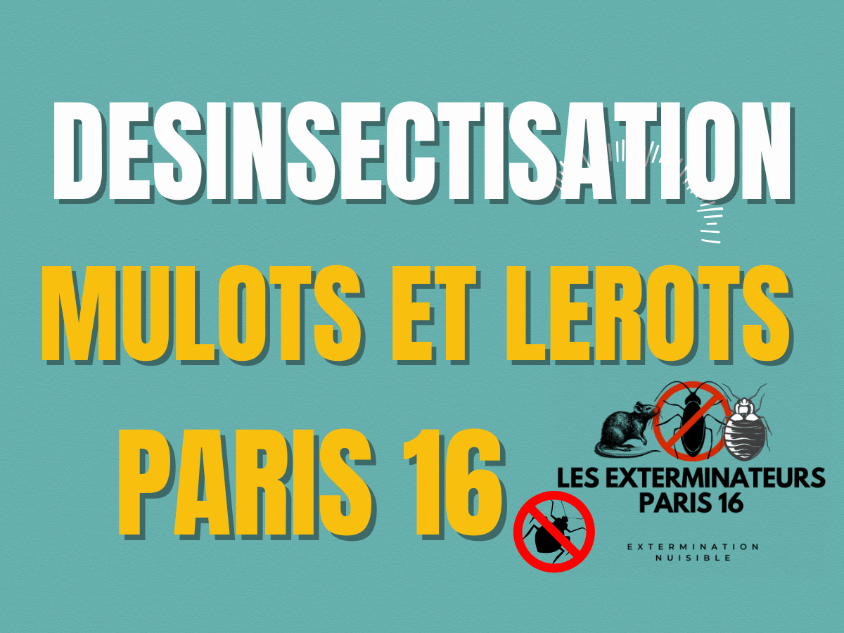 desinsectisation mulots et lerots paris 16