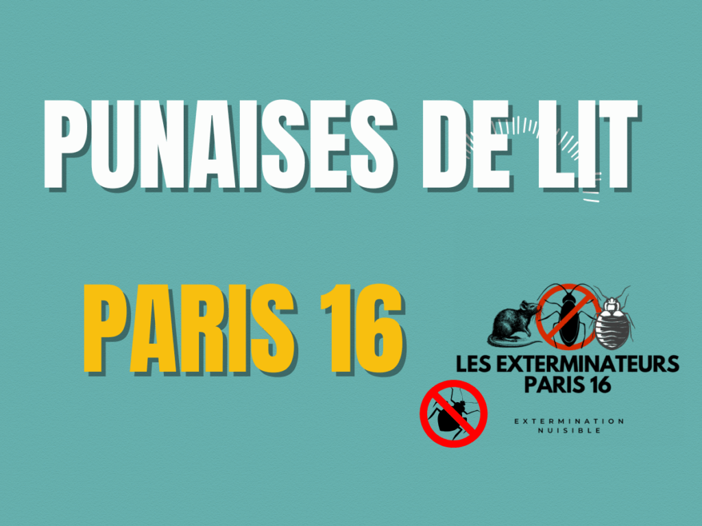 punaises de lit paris 16
