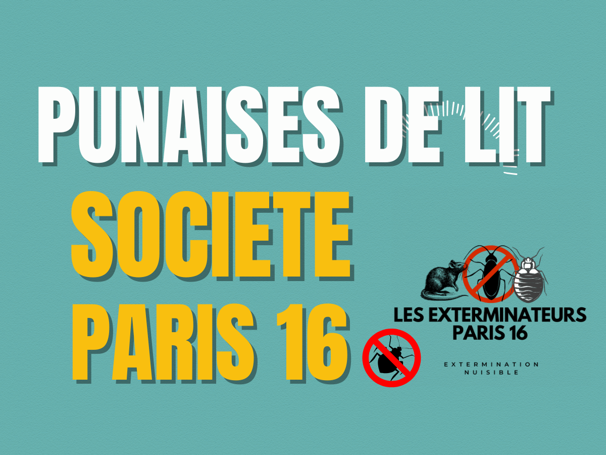 société punaises de lit paris 16