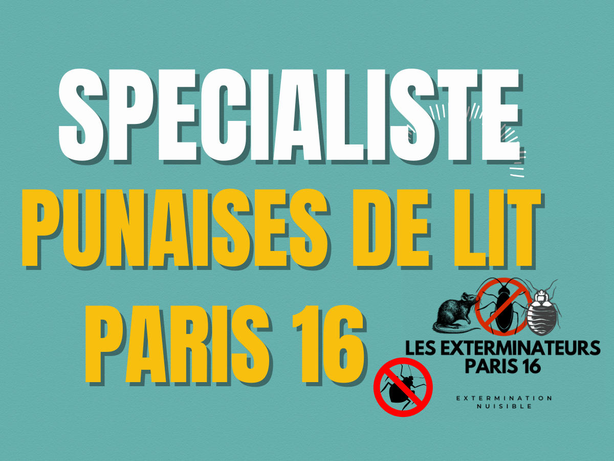specialiste punaises de lit paris 16