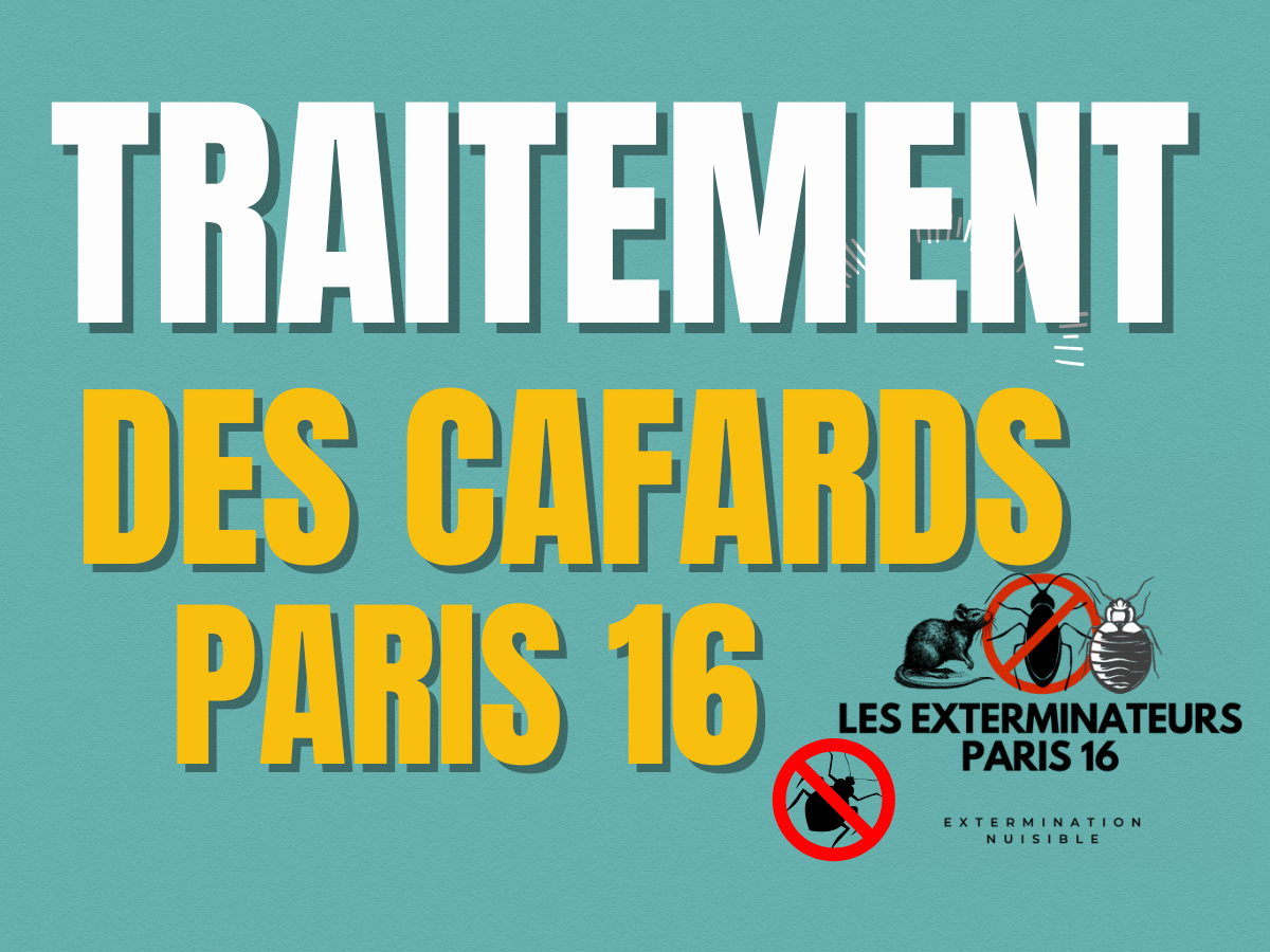 traitement des cafards paris 16